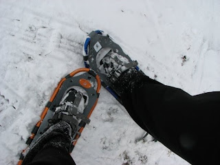 snowshoeing in michigan